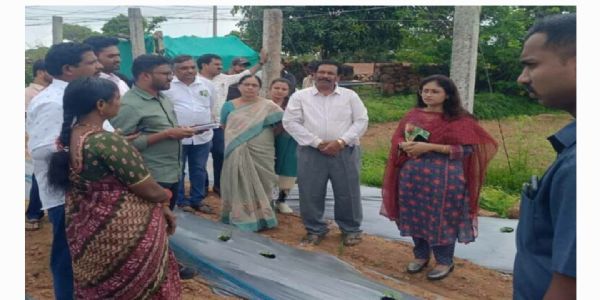 రైతులు ప్రకృతి వ్యవసాయం చేయాలి: కలెక్టర్ సిక్తా పట్నాయక్
