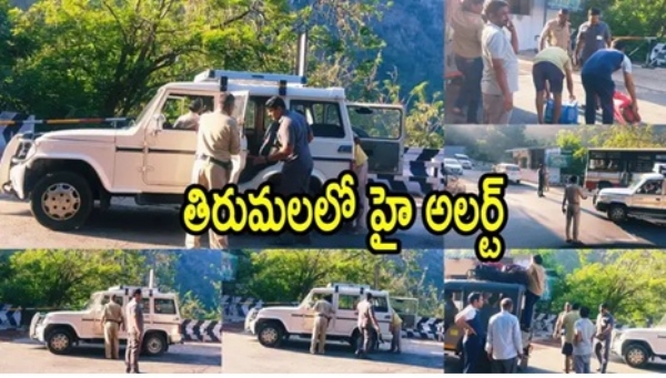 తిరుమలలో హై అలర్ట్