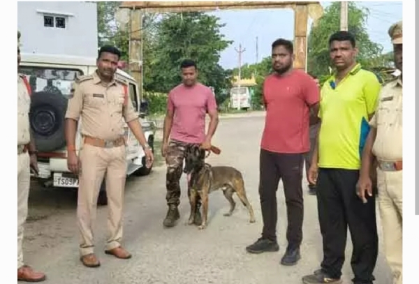 కార్డెన్ సెర్చ్