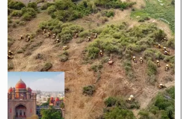 భూముల విచారణ భూముల విచారణ