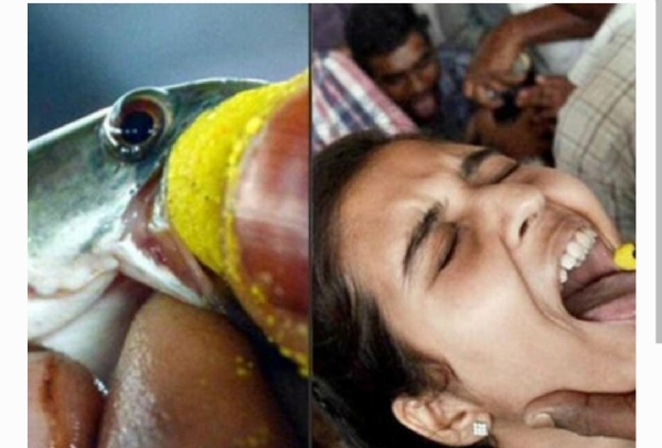 చేప ప్రసాదం