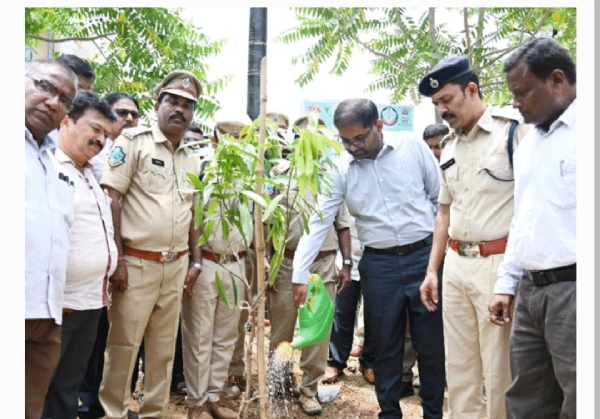 పెద్దపల్లి కలెక్టర్