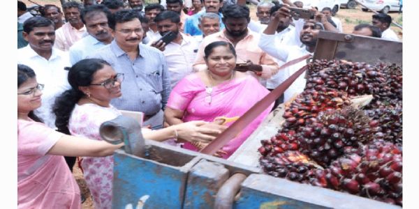 రైతులు వ్యవసాయంలో మార్పులను గమనించాలి.. హనుమకొండ జిల్లా కలెక్టర్ స్నేహ శబరీష్
