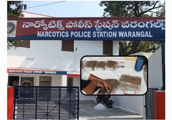 గంజాయి