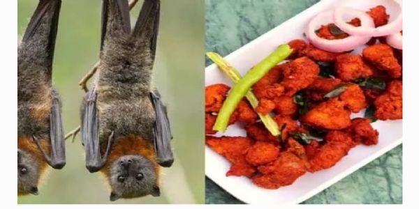 చికెన్ పకోడీ, చిల్లి చికెన్ లలో గబ్బిలాల మాంసం.. తమిళనాడులో కలకలం