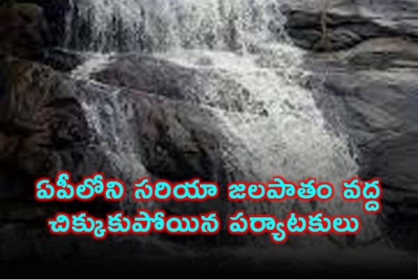 ఏపీలోని సరియా జలపాతం వద్ద చిక్కుకుపోయిన పర్యాటకులు