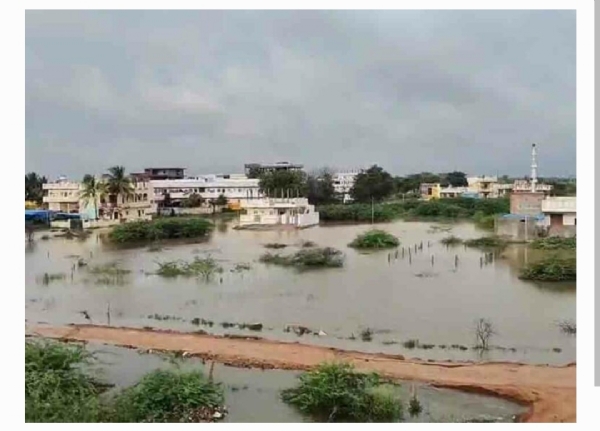 నారాయణపేట వర్షం