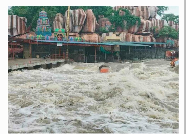వనదుర్గ