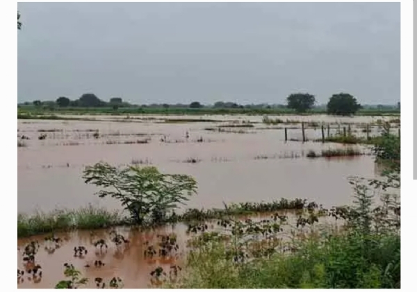 సంగారెడ్డి వర్షం