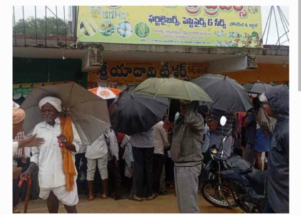 యూరియా కష్టాలు