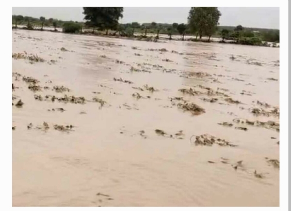 రైతుల ఆవేదన