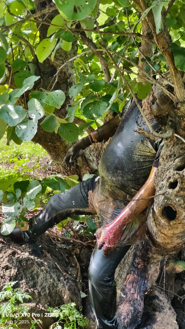 Seoni: A five to seven day old dead body of an unknown man was found near the hilly drain of village Bithli, police is engaged in a detailed investigation