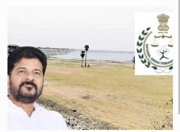 గ్రీన్ ట్రిబ్యునల్
