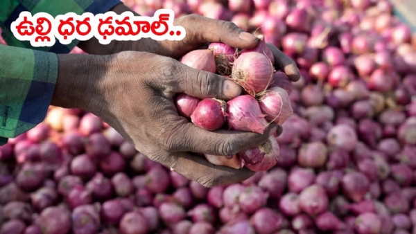 Farmers demanding a minimum support price for onions in Andhra Pradesh