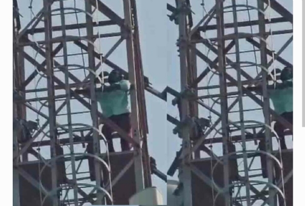సెల్ టవర్