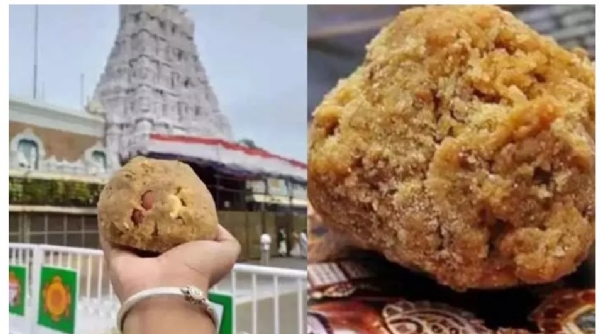తిరుమల లడ్డూకి 310 సంవత్సరాలు.. ఎప్పుడు, ఎలా ప్రారంభమైంది?