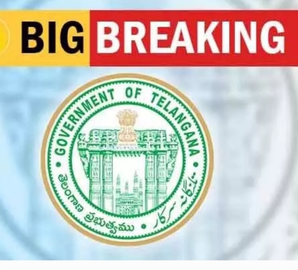 స్థానిక ఎన్నికలు