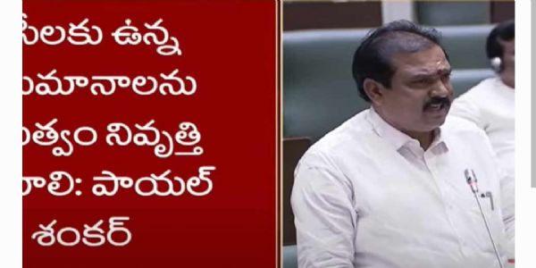బీసీలకు ఉన్న అనుమానాలను ప్రభుత్వం నివృత్తి చేయాలి.. పాయల్ శంకర్