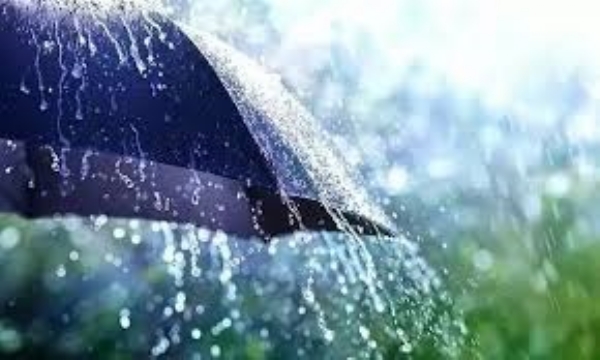 Weather Report: Low Pressure Over South Bay of Bengal, moderate to heavy rainfall in AP