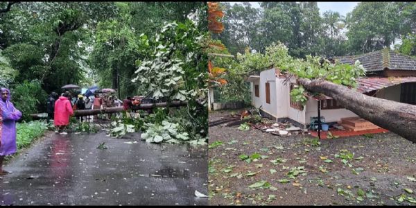 దిల్లీని వాన.. 200లకు పైగా విమాన సర్వీసులు ఆలస్యం