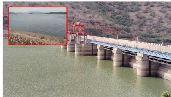 krishna-river-waters-fill-kadapa-reservoirs-a-boon-for-farmers-471085