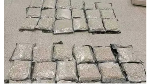 గంజాయి
