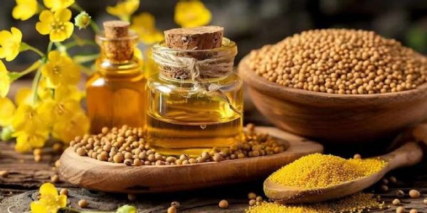 ఆరోగ్యానికి ఆవ నూనె.. కీళ్ల నొప్పుల నుంచి అందం పెంచుకోవడం వరకు..