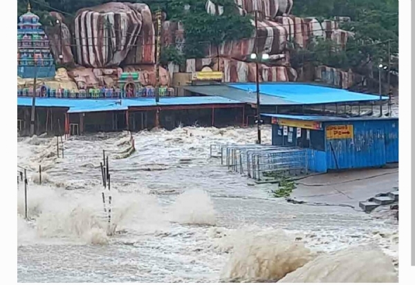 వనదుర్గ ఆలయం
