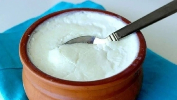 Side effects of eating curd at night time in telugu lifestyle news