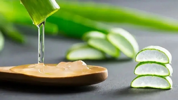 What happens by drinking aloe vera juice know when to drink it