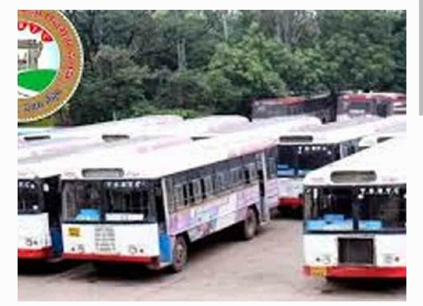 ప్రత్యేక బస్సులు