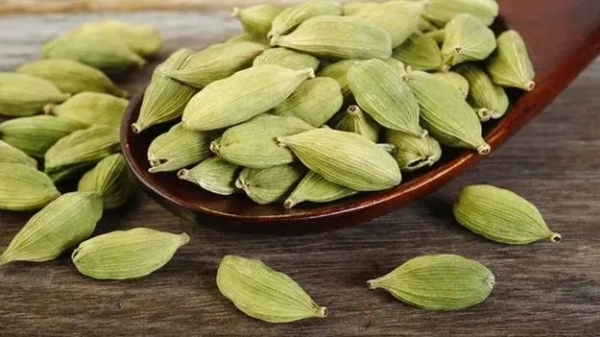 భోజనం చేశాక ఇలాచీ తింటే ఎన్ని బెనిఫిట్సో..