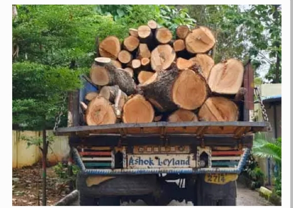 అక్రమ కలప లారీ