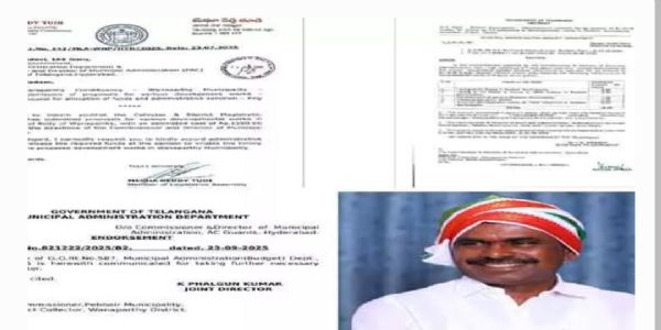 పట్టణ అభివృద్ధికి రూ. 15 కోట్లు మంజూరు: వనపర్తి ఎమ్మెల్యే మేఘా రెడ్డి