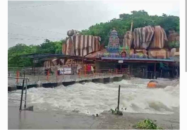 వనదుర్గ