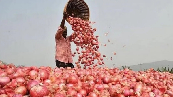 Onion farmers protest kurnool andhra pradesh