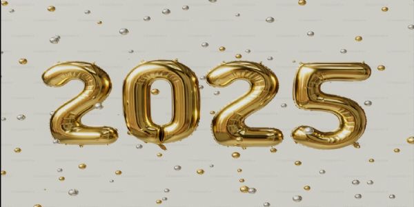 2025 సంవత్సర తెలంగాణ ఏపీ రివ్యూ..