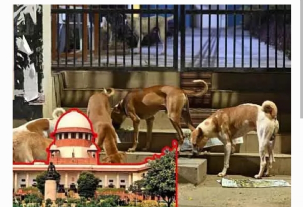 సుప్రీం కోర్ట్