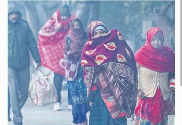 చలి పులి