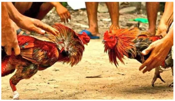 కేరళ డోలు వాయిస్తూ హోం మంత్రి సందడి