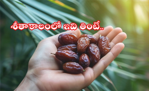 -benefits-of-eating-dates-in-winter