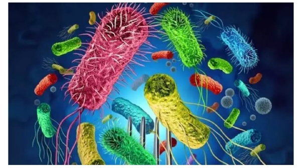 ఢిల్లీ పొల్యూషన్