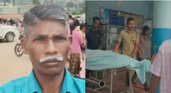 wild elephant attack