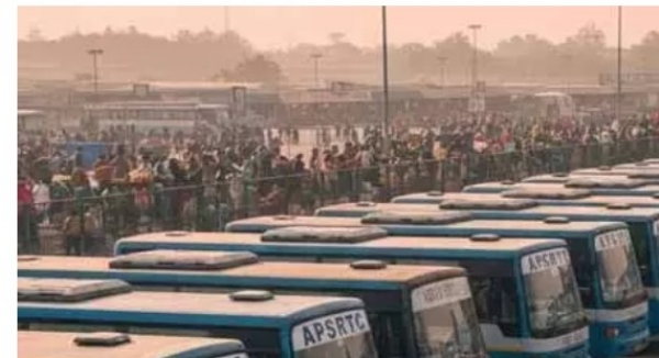 బస్సులు