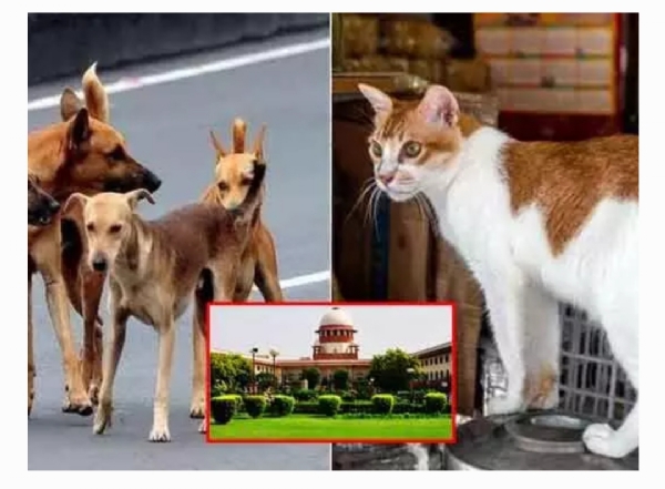 సుప్రీంకోర్టు