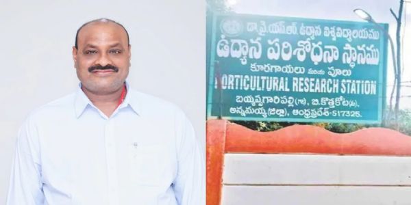 రాయలసీమను ప్రపంచ ఉద్యానవన కేంద్రంగా తీర్చిదిద్దుతాం: మంత్రి అచ్చెన్నాయుడు