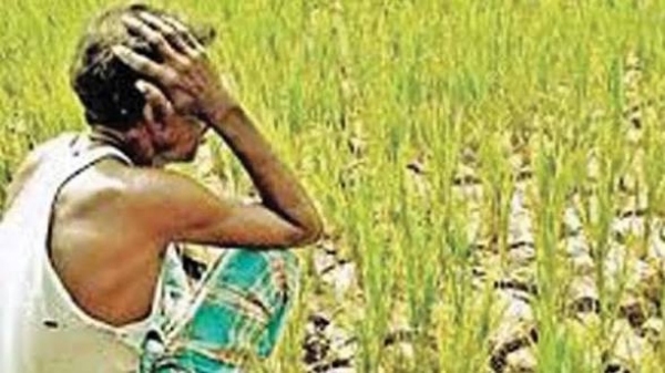 Farmers Farmers