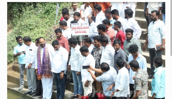 Mla