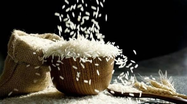 Rice Rice
