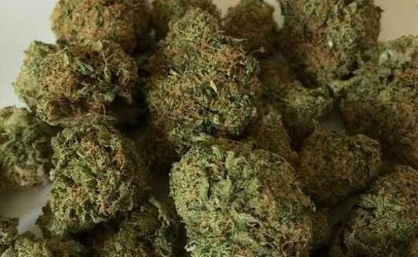 Ganja